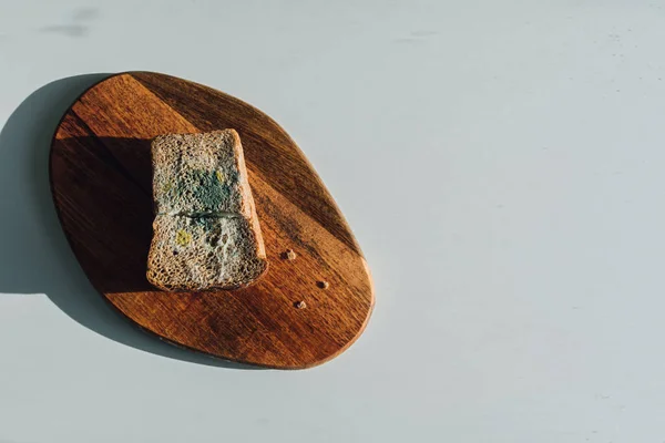 Mold on bread, a piece of rye bread with white and green mold on a wooden cutting board. Best before date has expired.