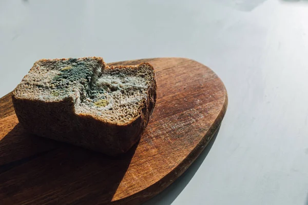 Mold on bread, a piece of rye bread with white and green mold on a wooden cutting board. Best before date has expired.