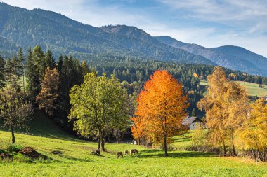 Santa Magdalena Köyü.