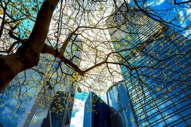 Ticari bina yakın çekim