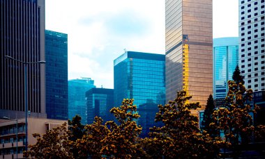 Ofis Binası closeup ve ağaç, iş kavramı