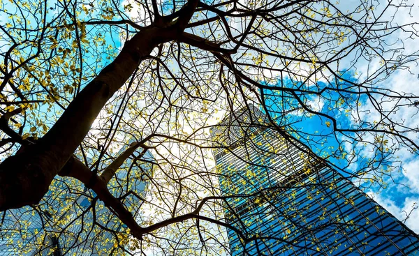 Ticari bina yakın çekim