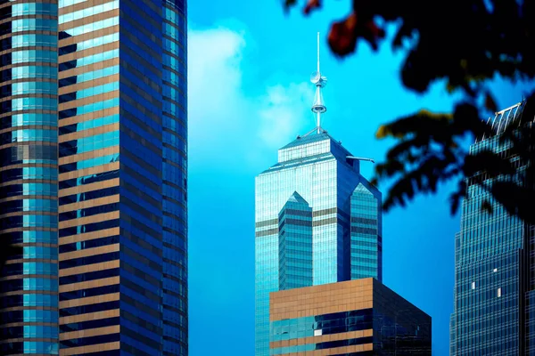 Edificio de oficinas primer plano y árbol, concepto de negocio — Foto de Stock