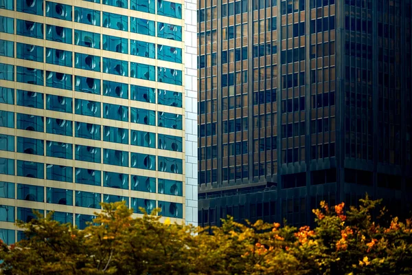 Ofis Binası closeup ve ağaç, iş kavramı — Stok fotoğraf