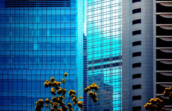 Ofis Binası closeup ve ağaç, iş kavramı — Stok fotoğraf