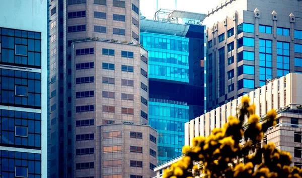 Ofis Binası closeup ve ağaç, iş kavramı