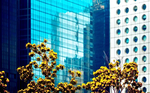 Ofis Binası closeup ve ağaç, iş kavramı — Stok fotoğraf