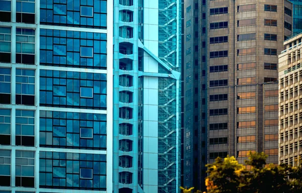 Office building closeup and tree, business concept — Stock Photo, Image