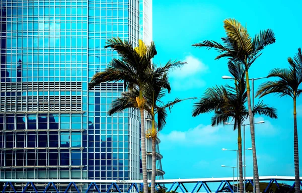 Office building closeup and tree, business concept — Stock Photo, Image