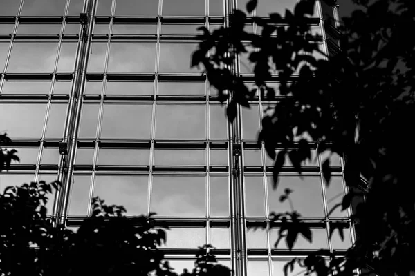 Edifício comercial Close Up em preto e branco — Fotografia de Stock