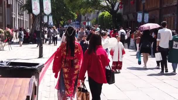 Slow Motion of People visitando o famoso destino de viagem e caminhando na rua principal de SanFang QiXiang — Vídeo de Stock