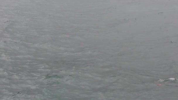 Hong Kong, China, 12 de abril de 2019: cámara lenta de Victoria Harbor y Hong Kong Island Skyline en el día de lluvia. Hong Kong es una de las ciudades más densamente pobladas . — Vídeo de stock