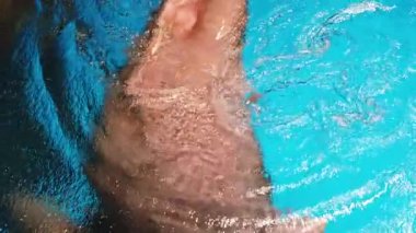 Mors (Odobenus rosmarus) ; Akvaryumda yüzen Mors'un Yavaş Hareketi