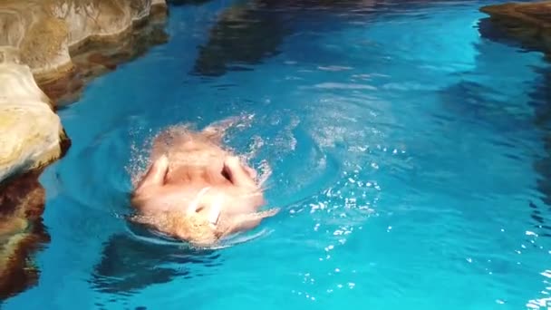 Morsa (Odobenus rosmarus); Movimiento lento de la morsa nadando en el acuario — Vídeos de Stock