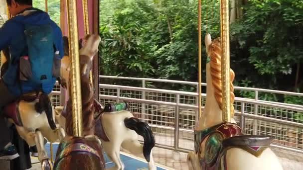 Movimiento lento del turista en carrusel en Ocean Park, Hong Kong — Vídeos de Stock