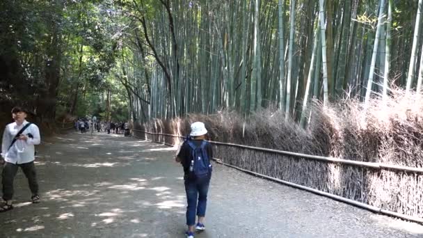 Kyoto Japan Juni 2019 Slow Motion Turist Promenader Arashiyama Bamboo — Stockvideo