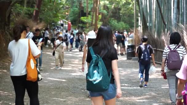 Kyoto Japán Június 2019 Lassú Mozgás Turista Gyaloglás Arashiyama Bamboo — Stock videók