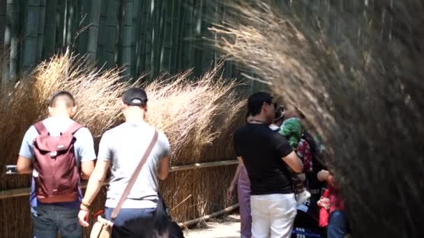 Kyoto Japán Június 2019 Lassú Mozgás Turista Gyaloglás Arashiyama Bamboo — Stock videók