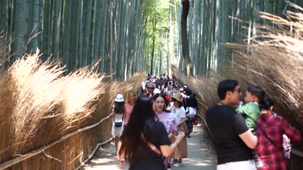 Kioto Japonia Czerwca 2019 Powolny Ruch Turystyczny Spaceru Arashiyama Bamboo — Wideo stockowe