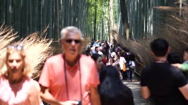 Kyoto Giappone Giugno 2019 Rallentatore Della Passeggiata Turistica Sull Arashiyama — Video Stock