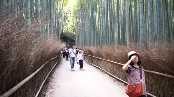 Kyoto Japan Juni 2019 Slow Motion Turist Promenader Arashiyama Bamboo — Stockvideo