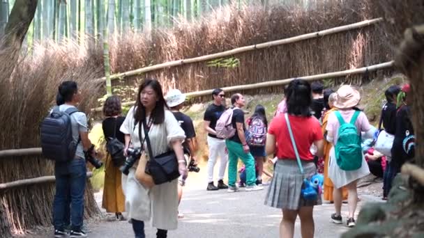 Kyoto Japán Június 2019 Lassú Mozgás Turista Gyaloglás Arashiyama Bamboo — Stock videók