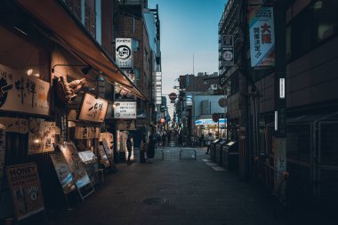 Osaka, Japonya, 17 Haziran 2019 : Gece Dotonbori'yi ziyaret eden turistler. Dotonbori, Japonya'nın Osaka bölgesinin en popüler seyahat sitesidir.