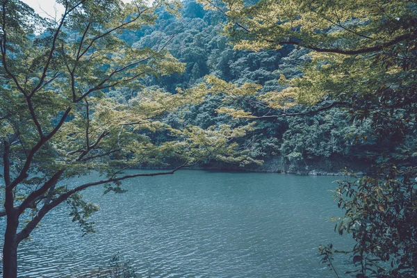 Nature in Japan; Nature background