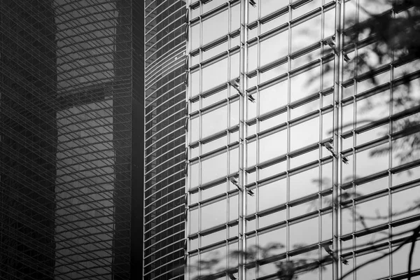 Budynek Biurowy Zbliżenie Drzewo Koncepcja Biznesowa Czarno Biały Styl — Zdjęcie stockowe