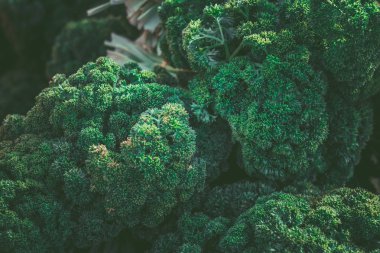 Markette Maydanoz. Organik gıda. Sağlıklı gıda