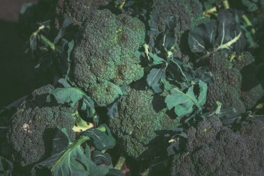 Açık pazarda satılık Brokoli. Organik gıda. Sağlıklı gıda