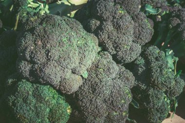 Açık pazarda satılık Brokoli. Organik gıda. Sağlıklı gıda