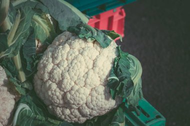 Pazar pazarında karnabahar. Taze Karnabahar arka plan