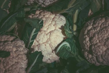 Pazar pazarında karnabahar. Taze Karnabahar arka plan