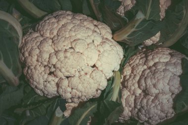 Pazar pazarında karnabahar. Taze Karnabahar arka plan