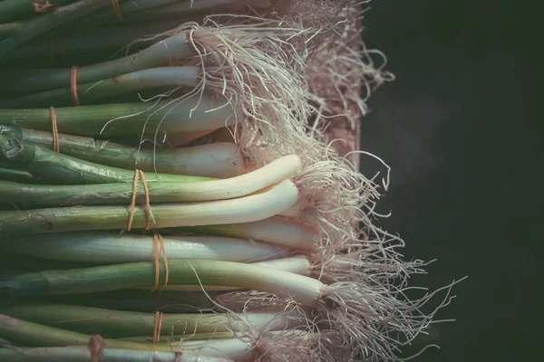 Fresh spring onion in the sunday market. Fresh spring onion background