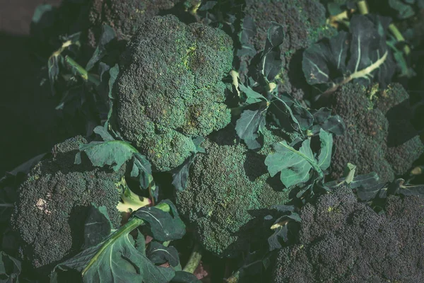 Açık pazarda satılık Brokoli. Organik gıda. Sağlıklı gıda