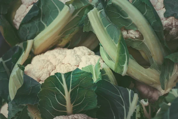 Pazar pazarında karnabahar. Taze Karnabahar arka plan