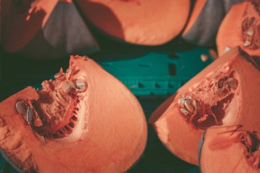 Taze kabak içinde belgili tanımlık çarşı