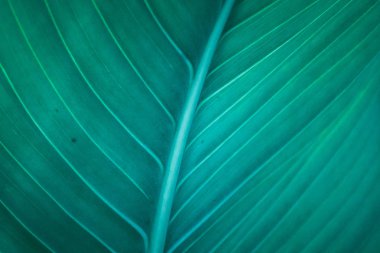 Yeşil Yaprak Desen; Doğal Arka Plan; vintage tarzı