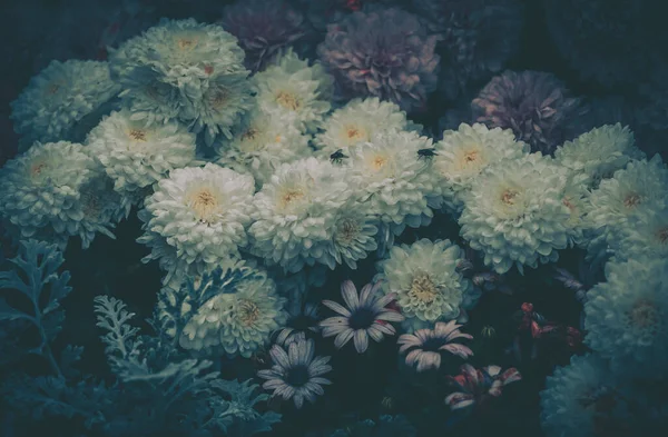 Fondo Del Campo Flores Estilo Vintage — Foto de Stock