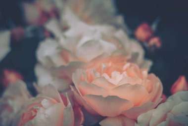 Kapalı Çiçek Arkaplanı; Doğa Arkaplanı; Vintage biçimi