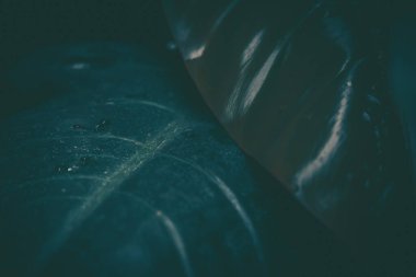 Yeşil yapraklar şablon; doğa arkaplan; klasik biçim