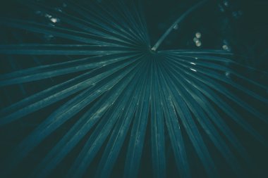 Yeşil yapraklar şablon; doğa arkaplan; klasik biçim