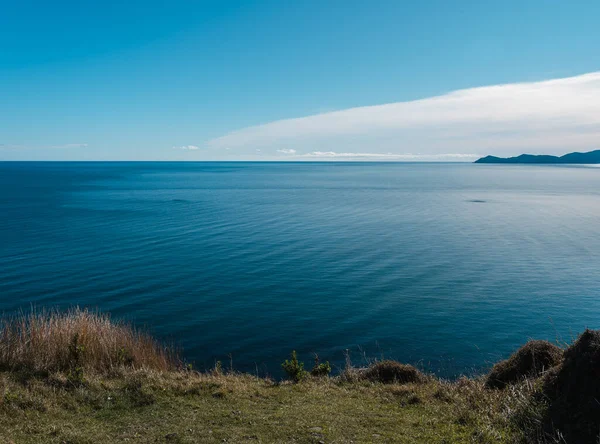 Neuseeland Wellington Landschaft Hintergrund Der Natur — Stockfoto