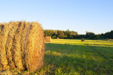 Sonra hasat doğa saman balya alanıyla