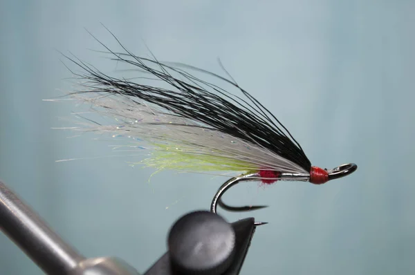 black white yellow fly fishing fly facing right on a blue background in a vice.