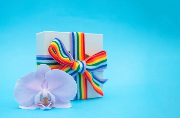 white gift box with rainbow ribbon and Orchid flower on blue background