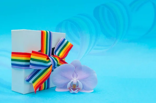 white gift box with rainbow ribbon and Orchid flower on blue background