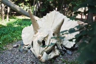 Dinozorlar ve insanlar eğlence parkı Dinozorlar için Zatorland